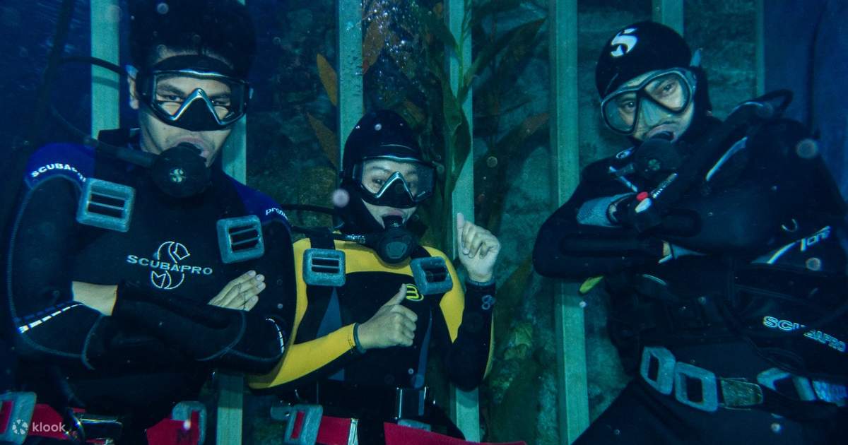 Cage Rage Experience by Aquaria KLCC in Kuala Lumpur, Malaysia Klook